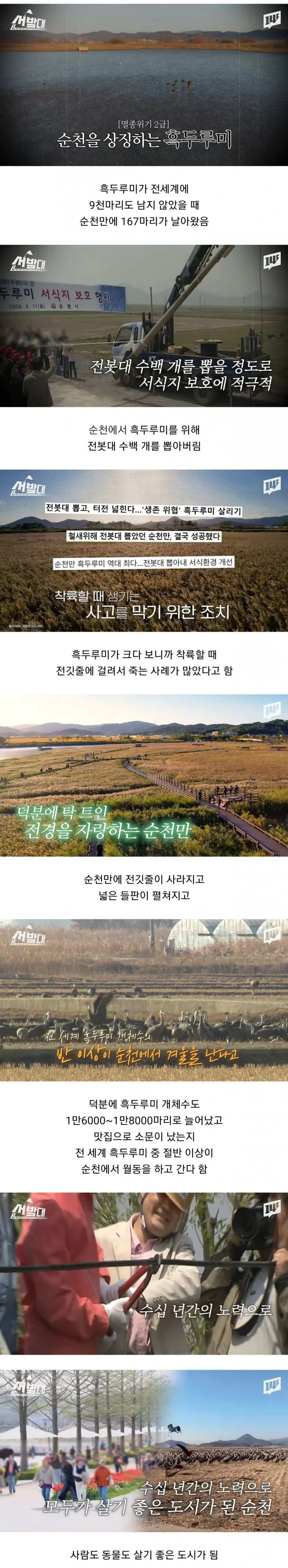 순천시가 전봇대 수백개를 뽑아버린 이유....jpg | 인스티즈
