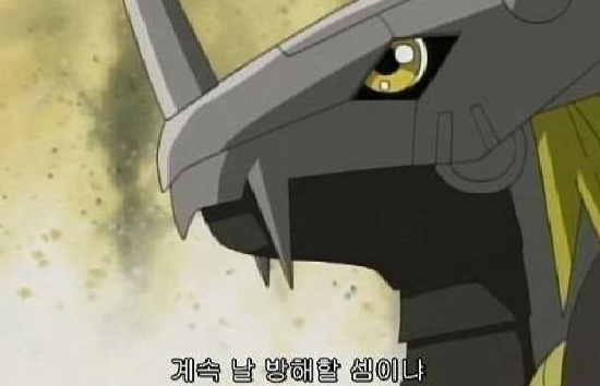 카톡 대화짤방으로 유명함 甲.JPG | 인스티즈