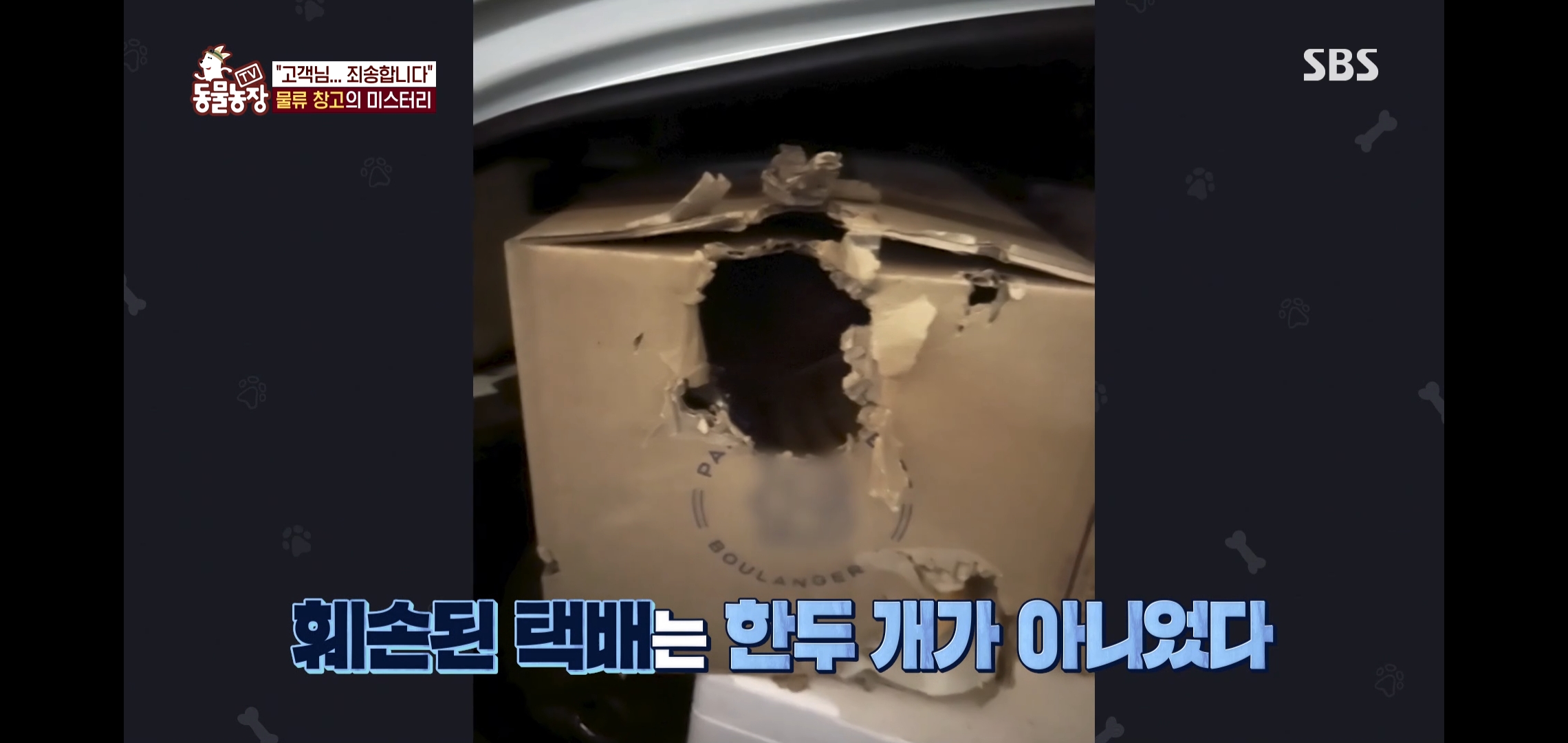 오늘자 동물농장에 나온 100만원 피해 일으킨 진짜 도둑고양이들.jpg | 인스티즈