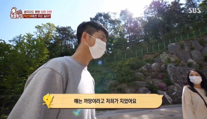 [동물농장] 리트리버에게 푹 빠진 길고양이들.jpg | 인스티즈