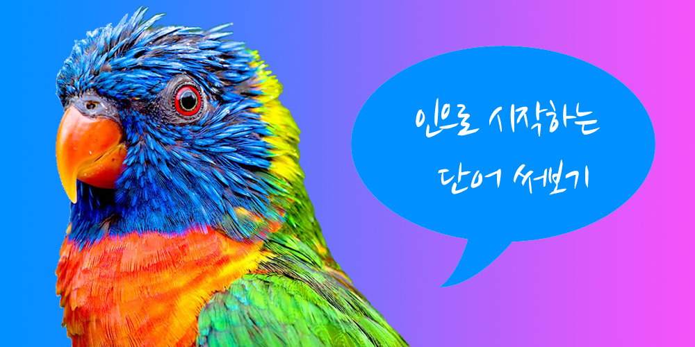 인으로 시작하는 단어 적어 보기 | 인스티즈