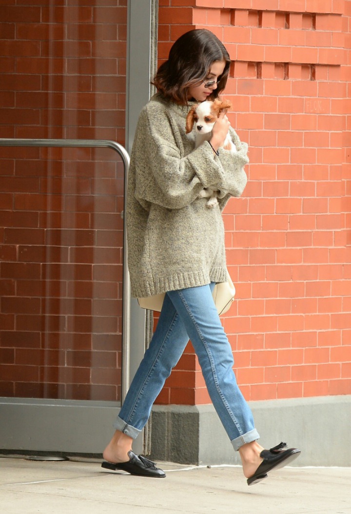 셀레나 고메즈가 키우는 강아지 Charlie gomez | 인스티즈