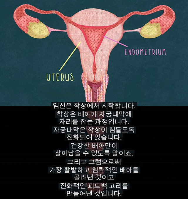 생리는 결코 오지 않는 정자를 기다리다 아기집을 허무는 과정이 아니다 | 인스티즈