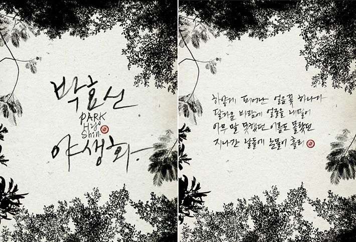 박효신의 인생곡은? 야생화 vs 눈의꽃 | 인스티즈