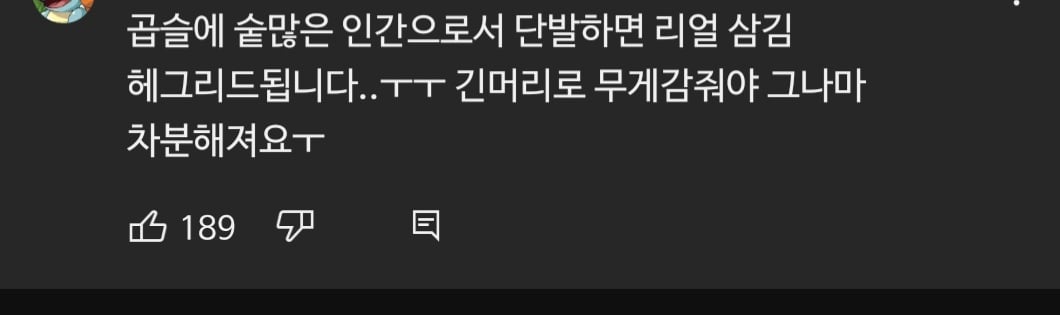 숱많은 곱슬,반곱슬 사람들이 단발머리 잘 안하는 이유.jpg | 인스티즈