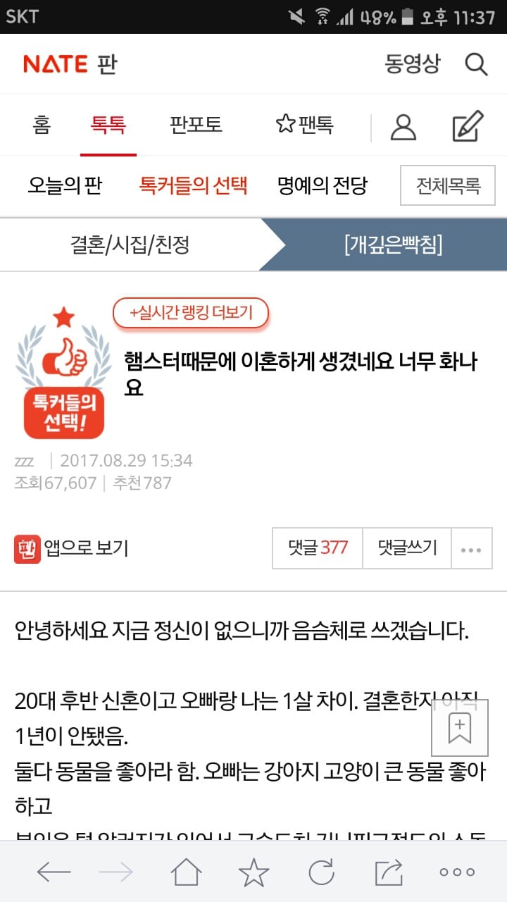 햄스터때문에 이혼하게 생겼네요 너무 화나요 | 인스티즈