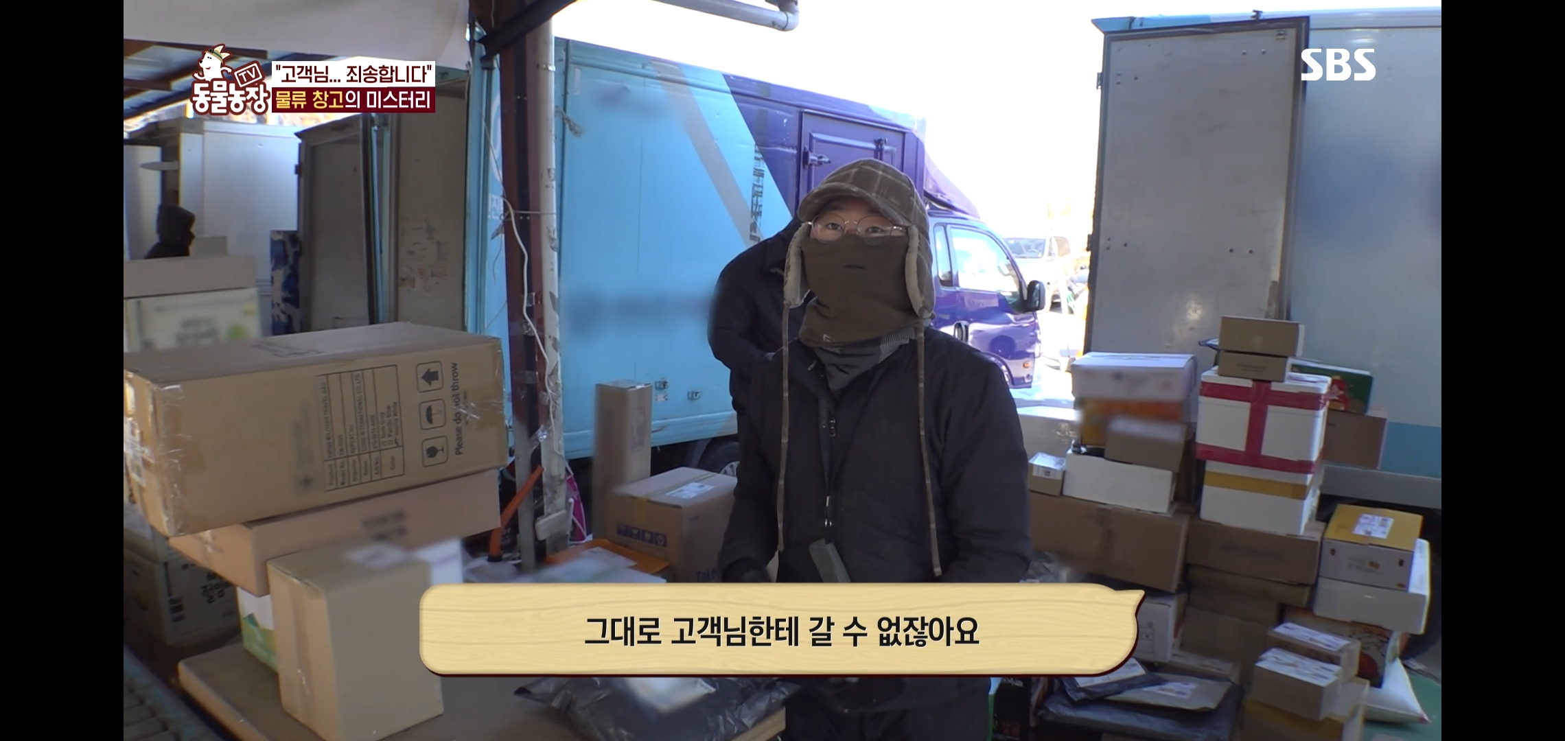 오늘자 동물농장에 나온 100만원 피해 일으킨 진짜 도둑고양이들.jpg | 인스티즈