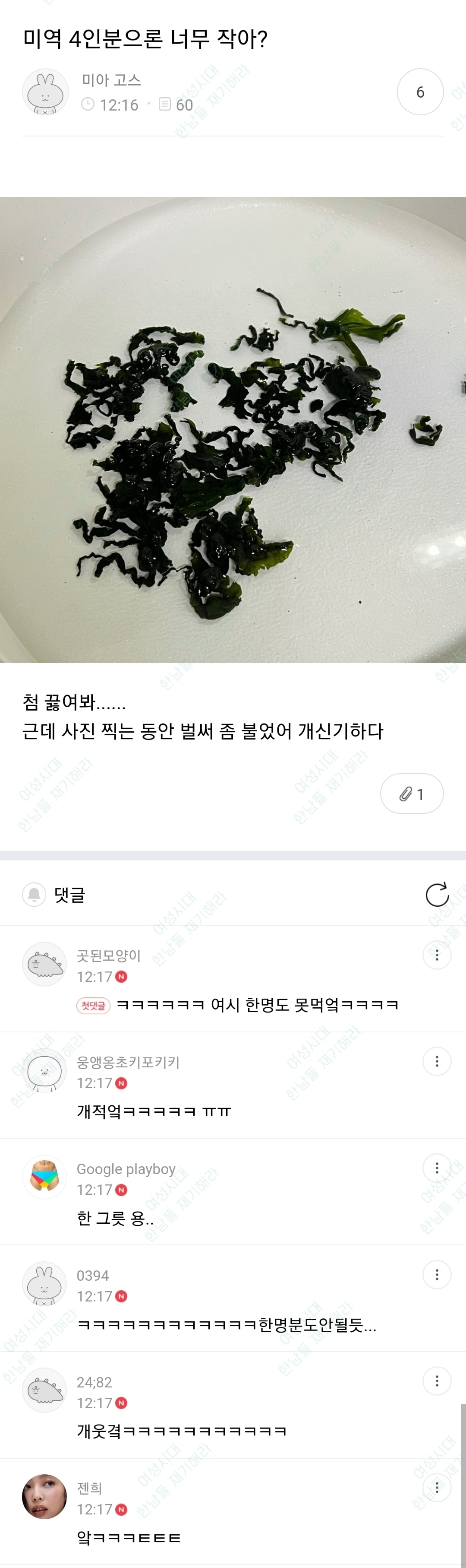 🍹우당탕탕 사는 여시들이 정말웃긴 여시캡쳐 | 인스티즈