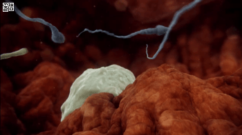 임신이 어려운 이유.gif | 인스티즈