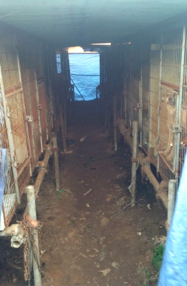 안쓰는 강아지 물품이나 사료 있는 사람들! 보호소에 기증하자!! | 인스티즈