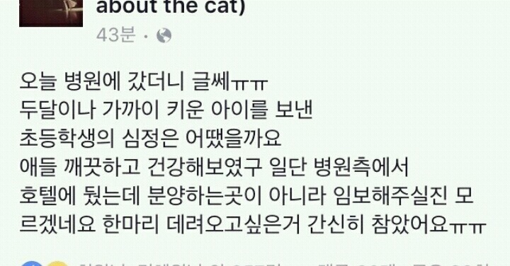 한 초등학생이 동물병원에 놓고 간 4마리의 고양이와 편지.JPG | 인스티즈