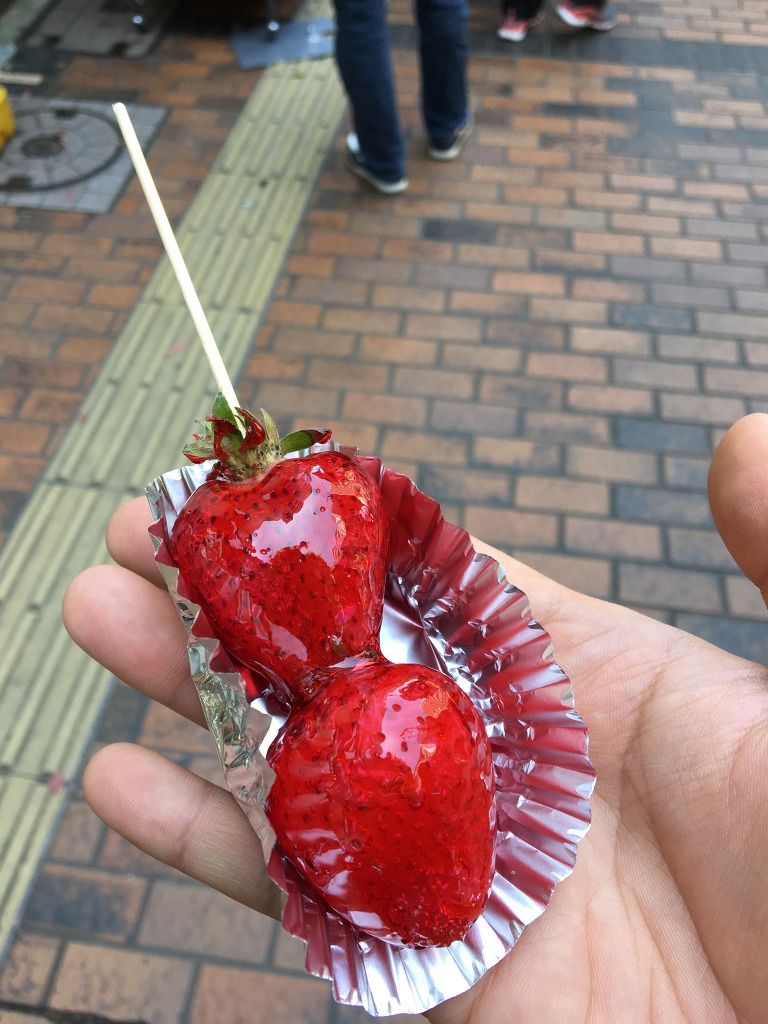 2박 3일간의 일본 후쿠오카 리얼후기 1탄!! 같이 후쿠오카로 떠나요!! | 인스티즈