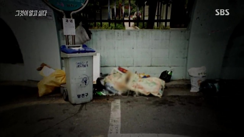 [그것이알고싶다] 엽기토끼와 신발장 - 신정동 연쇄살인사건의 마지막 퍼즐 | 인스티즈