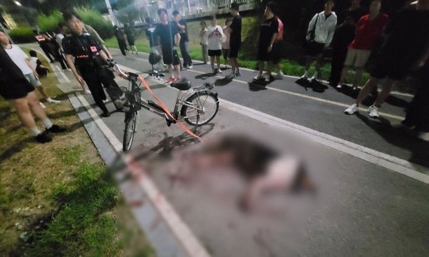사진주의 전기자전거에 보더콜리 매달고 달려 사망…경찰 견주 입건.news | 인스티즈