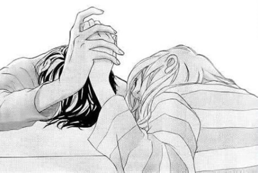 애니가 아닌 만화 속에서의 캐릭터들 (feat.새벽의 연화/아오하라이드) | 인스티즈