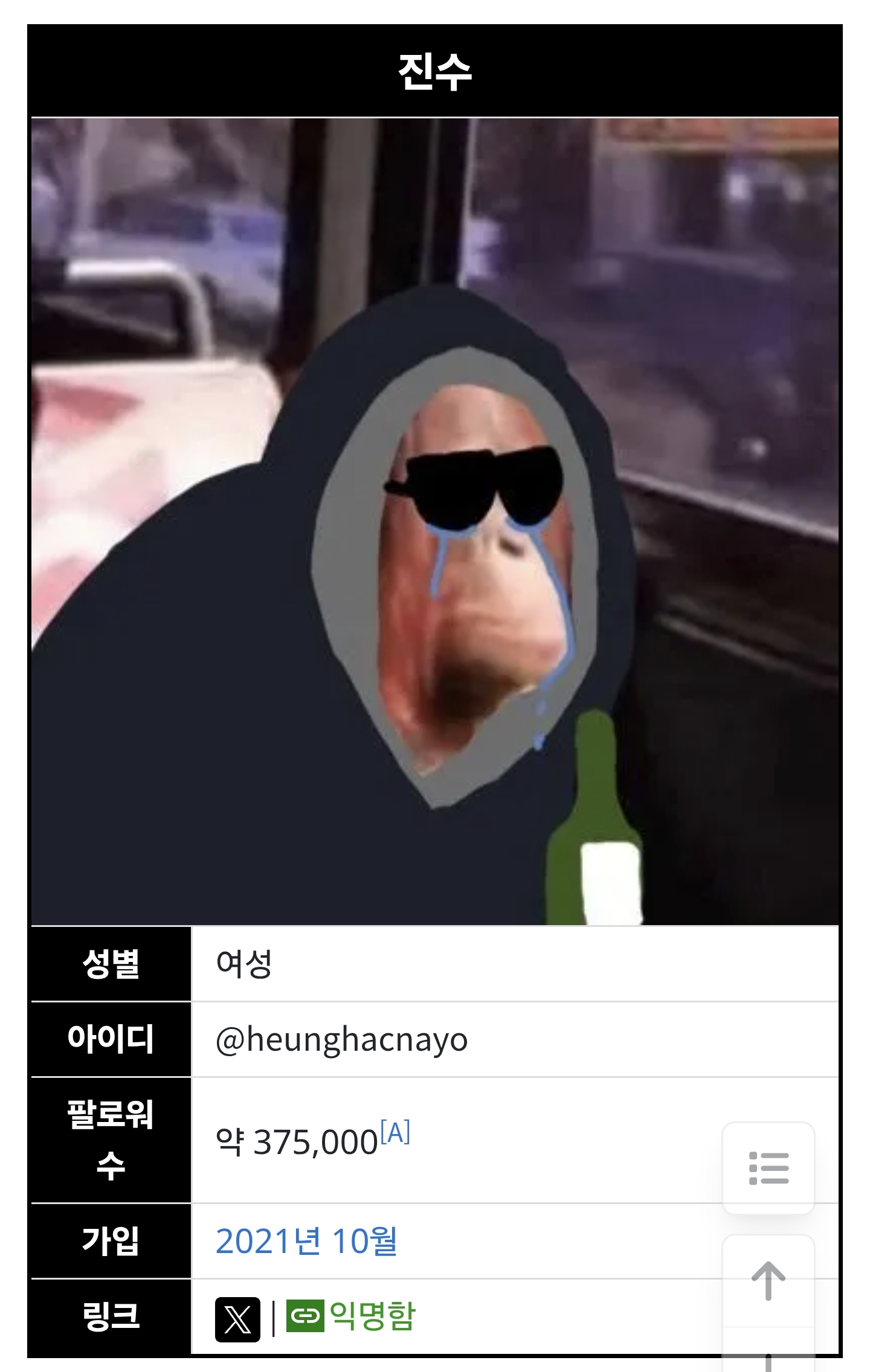 온라인 세상에서 아이돌 가수보다 팬이 더 유명한 이례적 사례 | 인스티즈