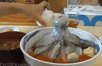 오징어 회뜨기 장인의 클라스.gif | 인스티즈