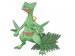 주관적인 역대 지우 포켓몬 베스트 스타팅 멤버 | 인스티즈