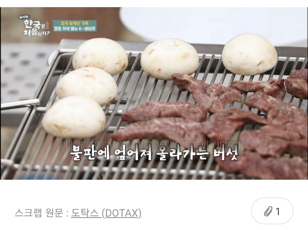 🍹우당탕탕 사는 여시들이 정말웃긴 여시캡쳐 | 인스티즈