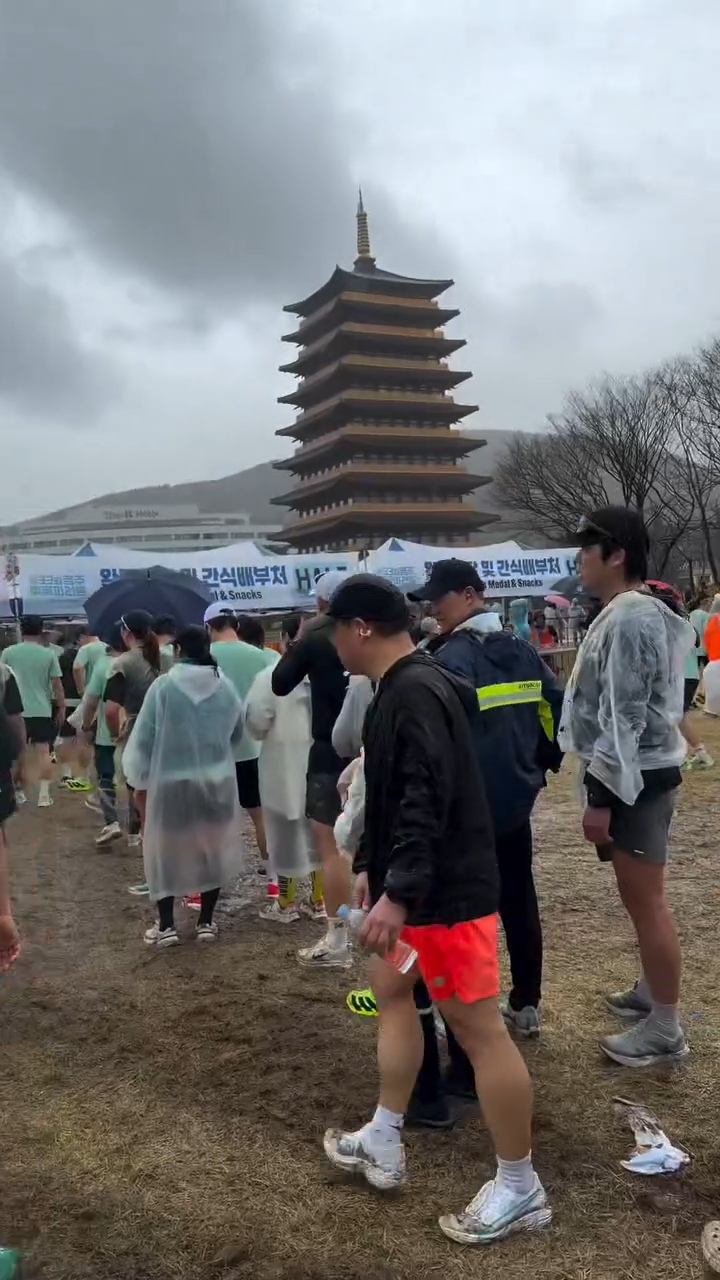 오늘자 경주 벚꽃 마라톤 근황 | 인스티즈