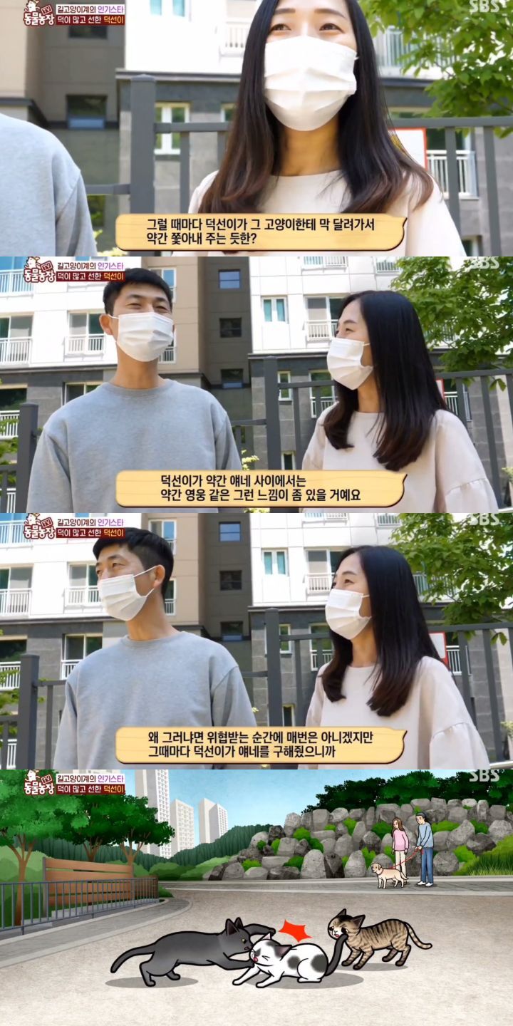 [동물농장] 리트리버에게 푹 빠진 길고양이들.jpg | 인스티즈