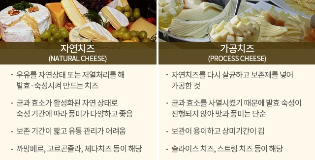 치즈 이야기 | 인스티즈