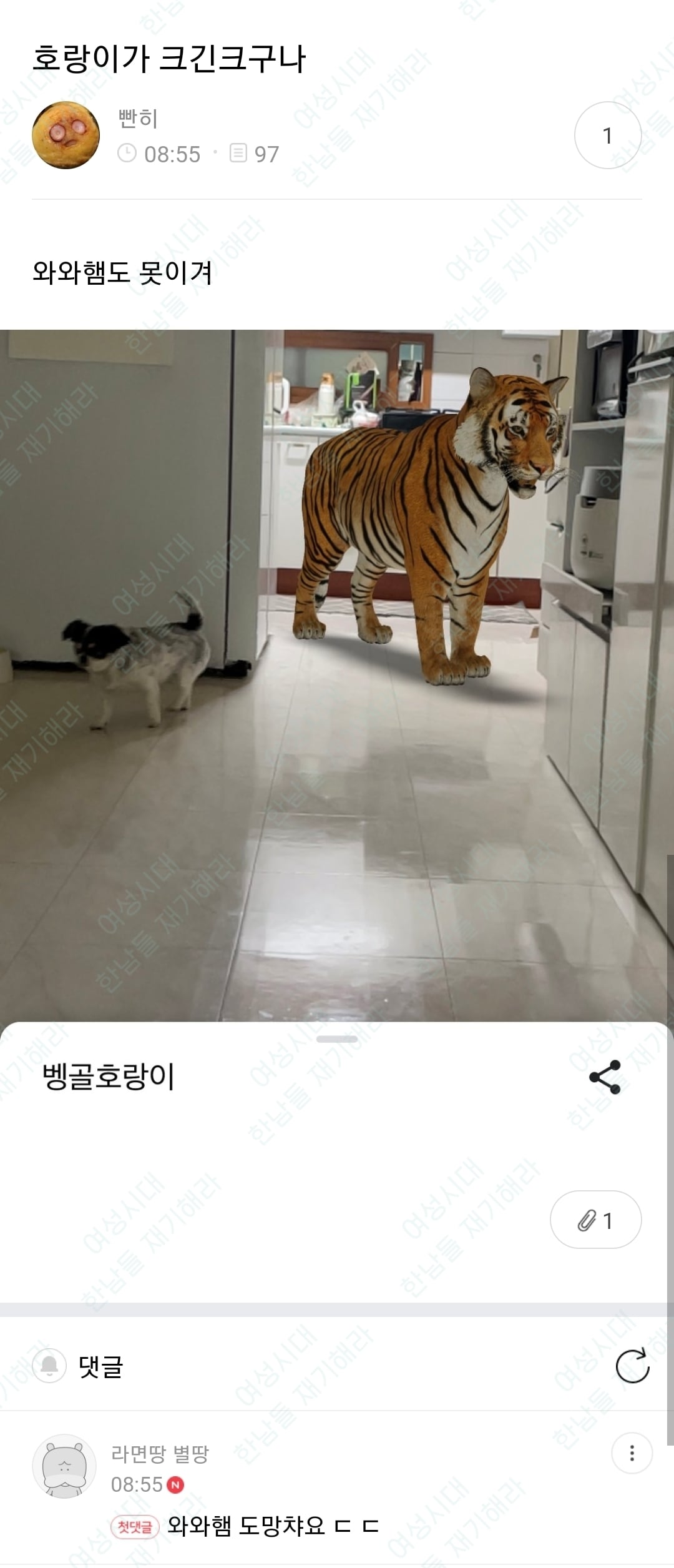 🍹우당탕탕 사는 여시들이 정말웃긴 여시캡쳐 | 인스티즈