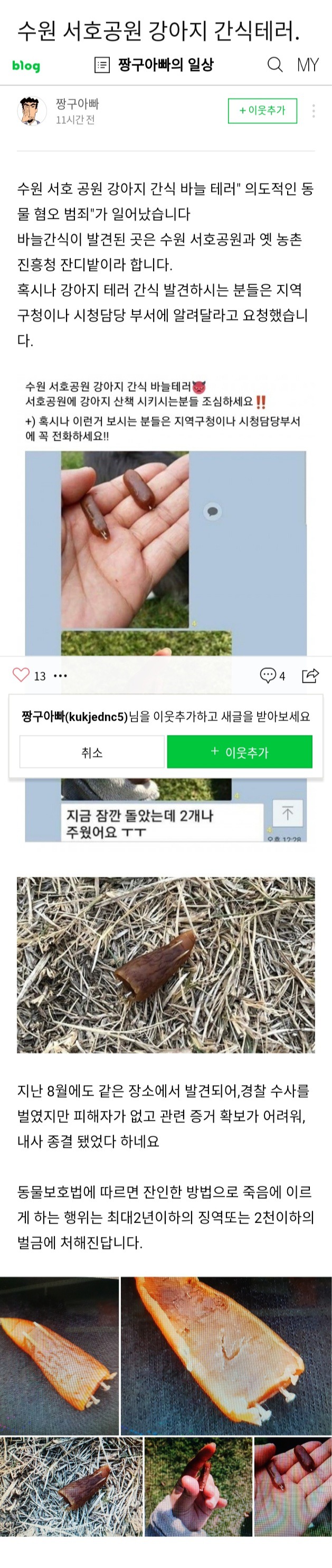 강아지 키우는 분들 조심.. 호주 범죄 따라한 바늘테러 | 인스티즈