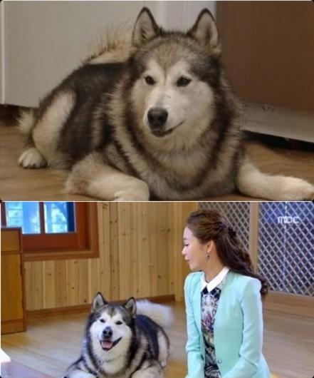 참 정신세계가 독특한 임성한의 작품세계.jpg ㅋㅋㅋㅋㅋㅋ | 인스티즈