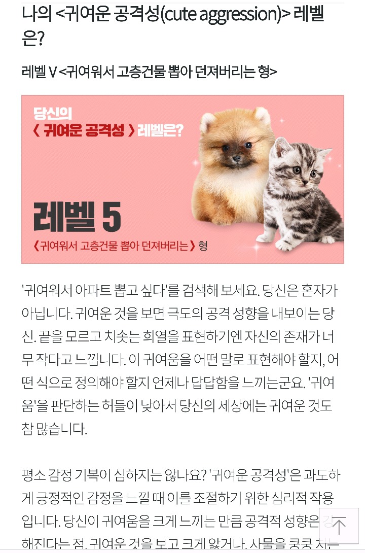 귀여운 걸 보면 아파트 뽑고 싶다고 말하는 이유 | 인스티즈