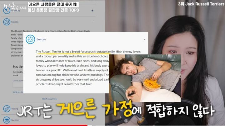 수의사가 말하는 미친 운동량 견종 TOP3 | 인스티즈