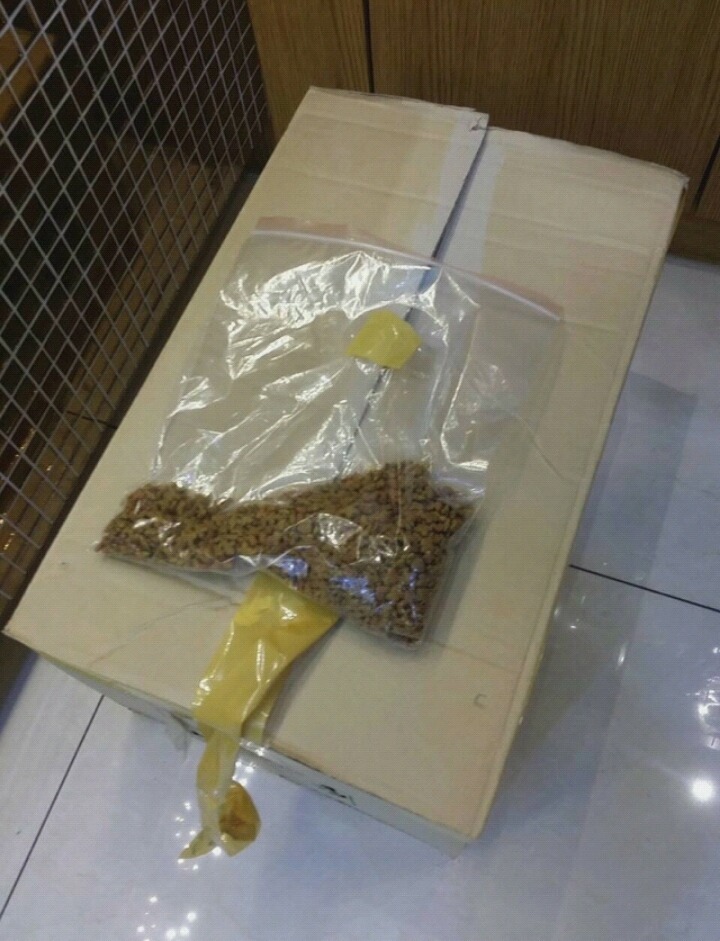 한 초등학생이 동물병원에 놓고 간 4마리의 고양이와 편지.JPG | 인스티즈