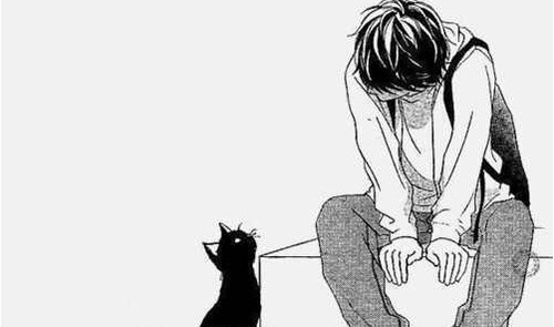 애니가 아닌 만화 속에서의 캐릭터들 (feat.새벽의 연화/아오하라이드) | 인스티즈