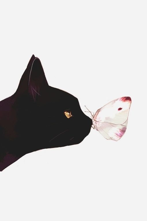 까만 고양이.jpg | 인스티즈