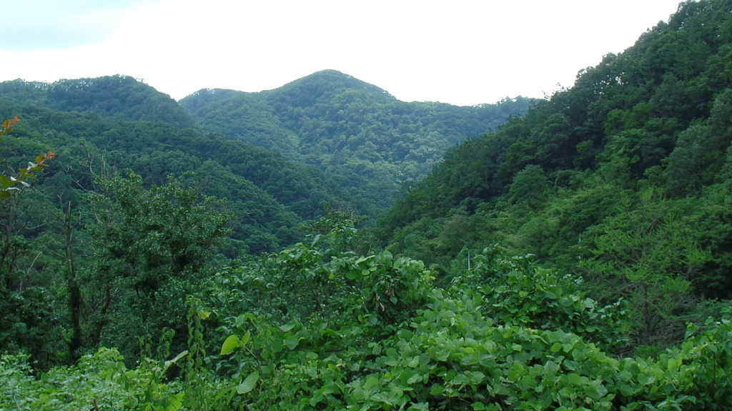 전북 전주 오봉산 정상에서 본 태고의 신비를 간직한 진안 마이산과 임실 옥정호 풍경 (안구정화) | 인스티즈
