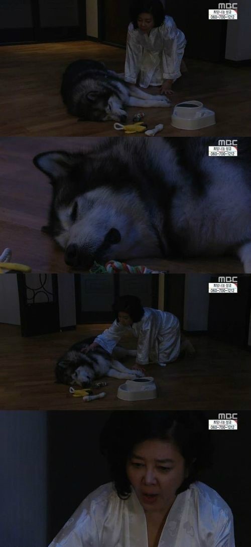 참 정신세계가 독특한 임성한의 작품세계.jpg ㅋㅋㅋㅋㅋㅋ | 인스티즈