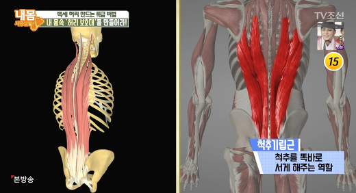 여자 인생 기댈 곳은 "척추기립근" 뿐 | 인스티즈