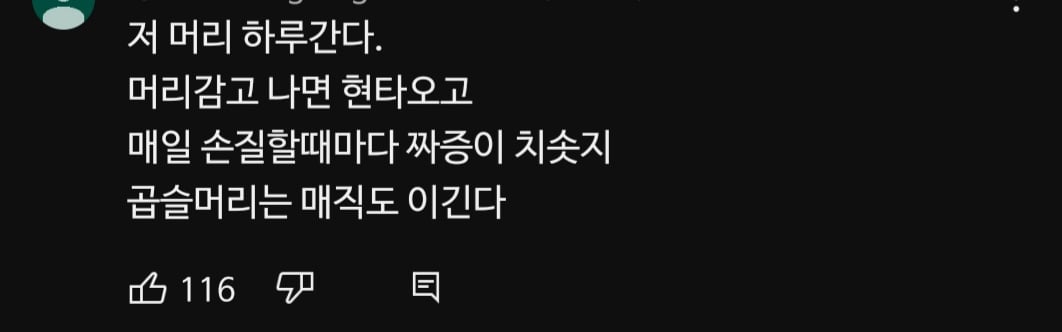 숱많은 곱슬,반곱슬 사람들이 단발머리 잘 안하는 이유.jpg | 인스티즈