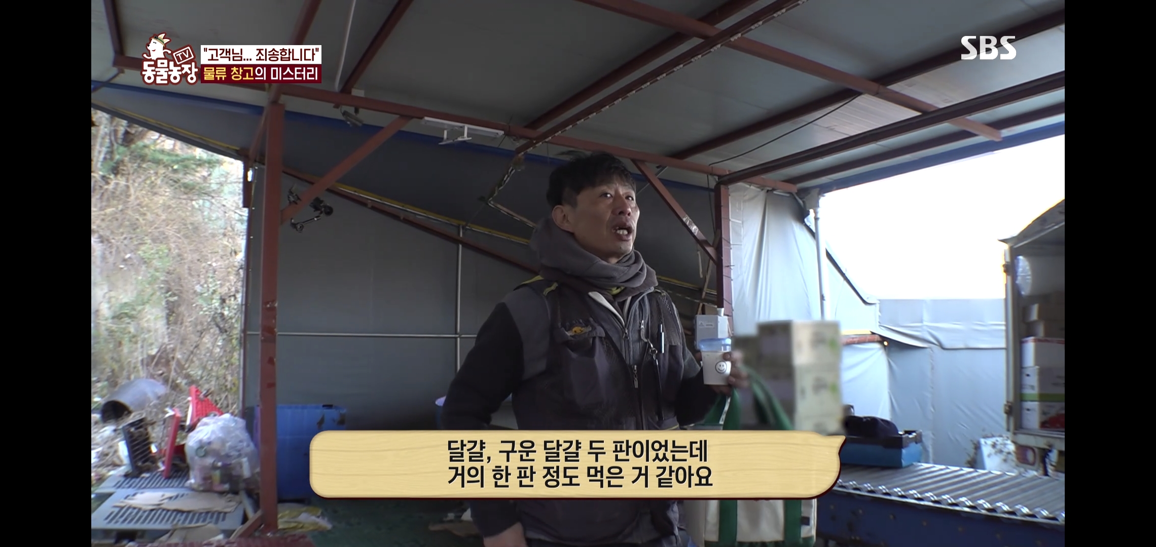 오늘자 동물농장에 나온 100만원 피해 일으킨 진짜 도둑고양이들.jpg | 인스티즈