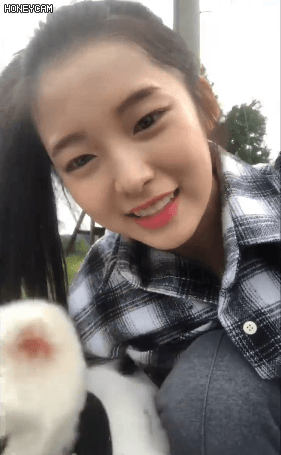 최근 오마이걸 아린.gif | 인스티즈