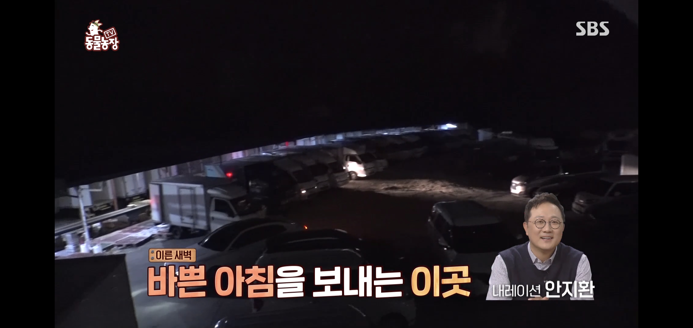 오늘자 동물농장에 나온 100만원 피해 일으킨 진짜 도둑고양이들.jpg | 인스티즈