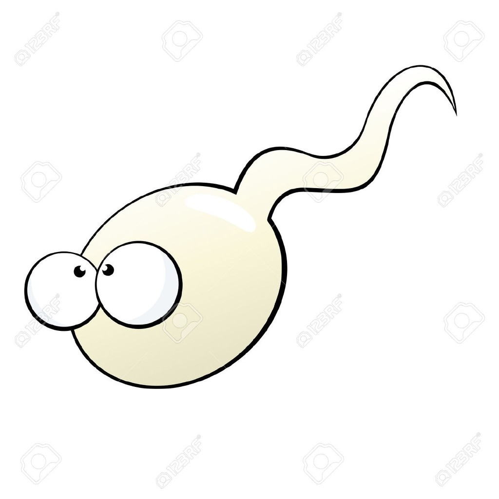  여자의 신비한 사실들.jpg | 인스티즈