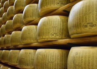 치즈 이야기 | 인스티즈