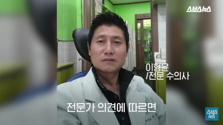 강아지가 신이 나면 재채기 하는 이유 | 인스티즈