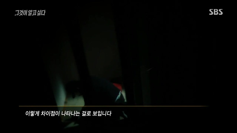 [그것이알고싶다] 엽기토끼와 신발장 - 신정동 연쇄살인사건의 마지막 퍼즐 | 인스티즈
