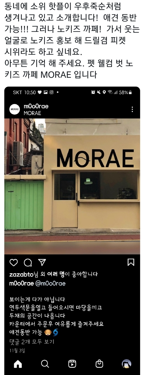 개는 되면서 애는 왜 안돼? 그냥 노키즈존보다 더 기분나쁘네 | 인스티즈