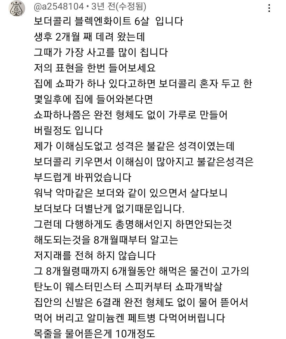 보더콜리를 평화롭게 키우기 위한 산책표 | 인스티즈