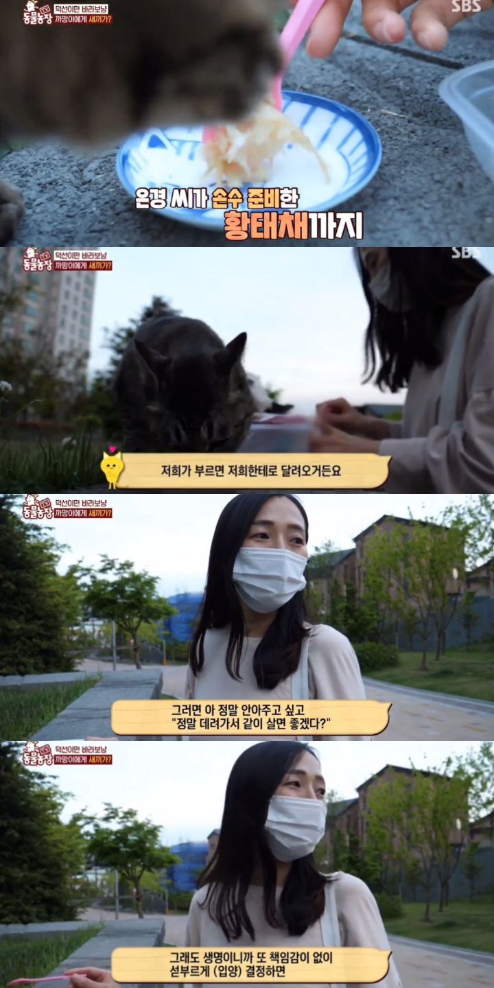 [동물농장] 리트리버에게 푹 빠진 길고양이들.jpg | 인스티즈