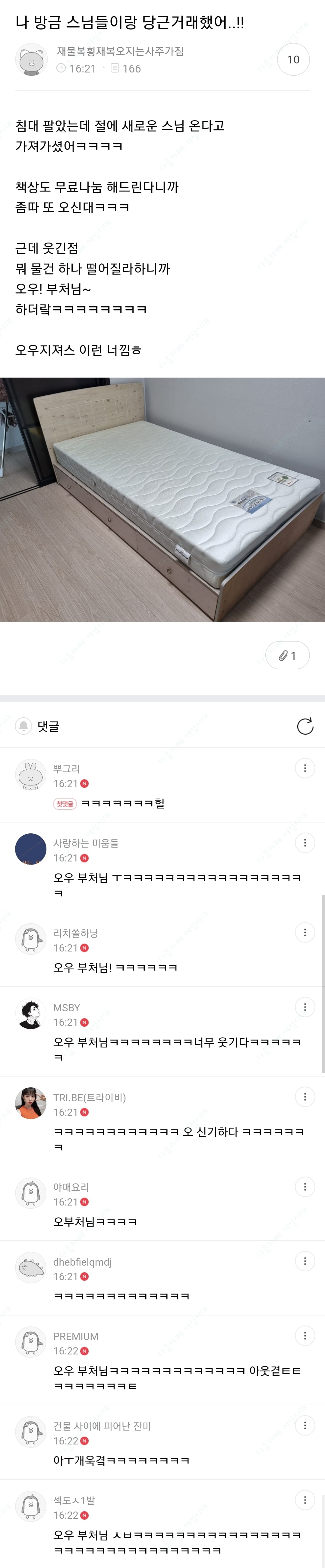 🍹우당탕탕 사는 여시들이 정말웃긴 여시캡쳐 | 인스티즈