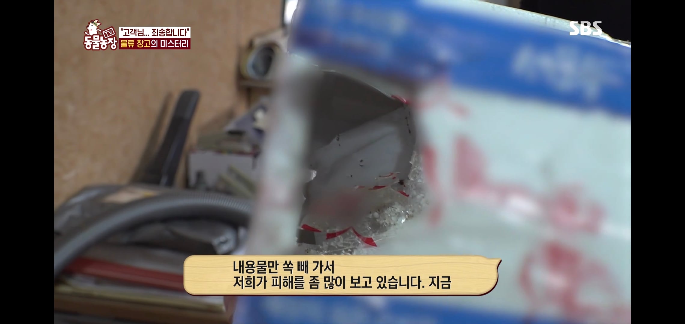 오늘자 동물농장에 나온 100만원 피해 일으킨 진짜 도둑고양이들.jpg | 인스티즈